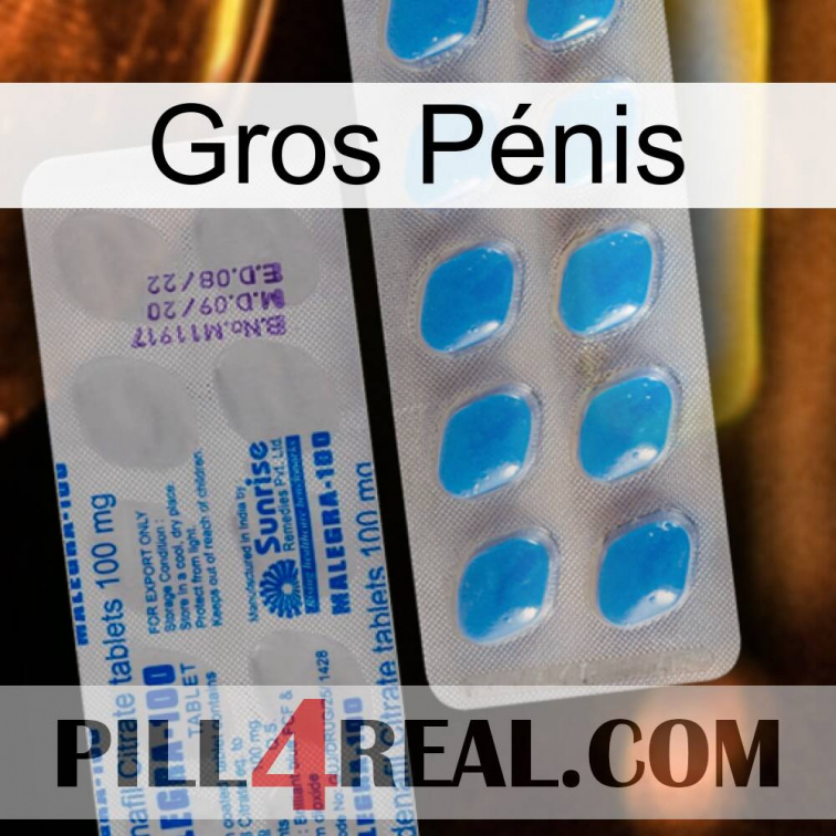Gros Pénis new15